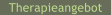 Therapieangebot